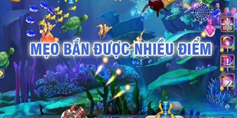 Bắn cá theo chiến thuật