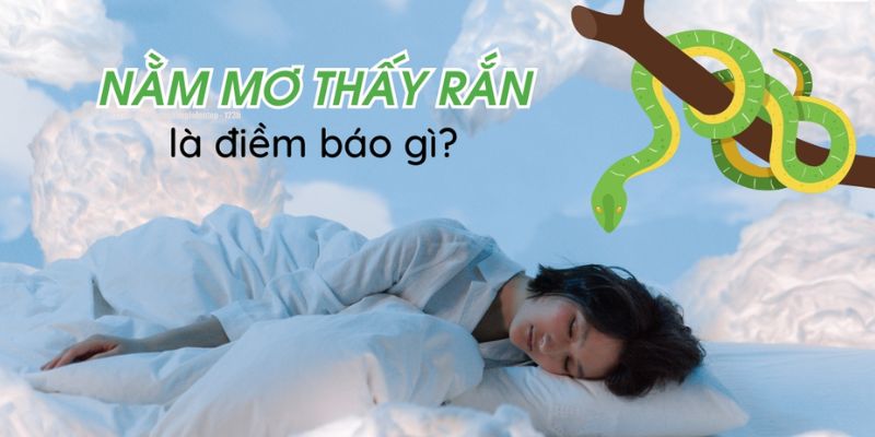 Lý giải tại sao nằm mơ thấy rắn